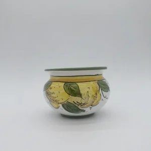 Cachepot fondo bianco