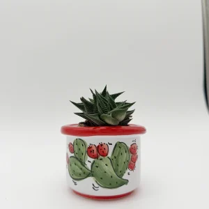 Vasetto con piantina (assortite/casuale)